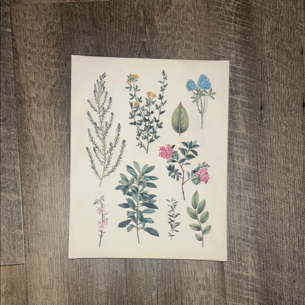 Floral Botanical Print Canvas Art